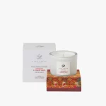 75. Raspberry-and-Tomato-Leaves-Scented-Candle-180g-Grey