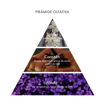 Piramide olfativa Eau de Parfum Dolce Treviso acca kappa ecuador