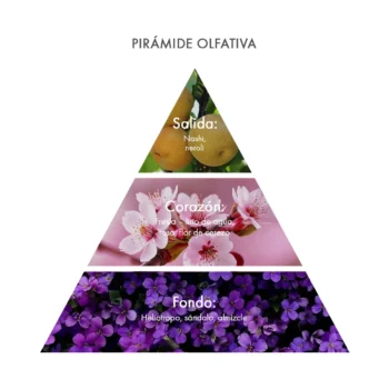 Piramide olfativa Sakura Tokyo Eau de Parfum Acca Kappa Ecuador