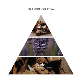 piramide olfativa Eau de Parfum Libocedro & Salvia acca kappa ecuador