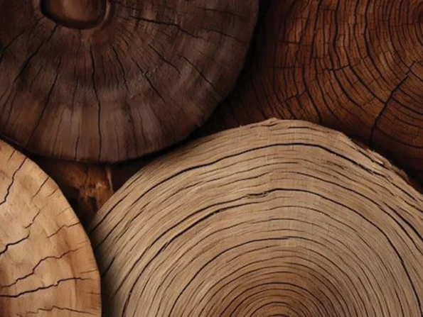 madera de cashmere