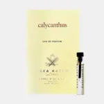 calycanthus-muestra